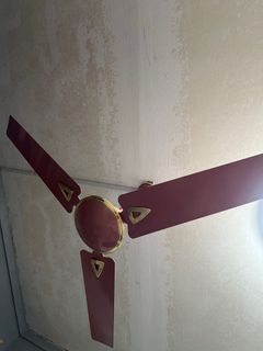 (Category: ) located in . Submitted by 979698 (Listing ID 1322531565, Image 1). Description: .