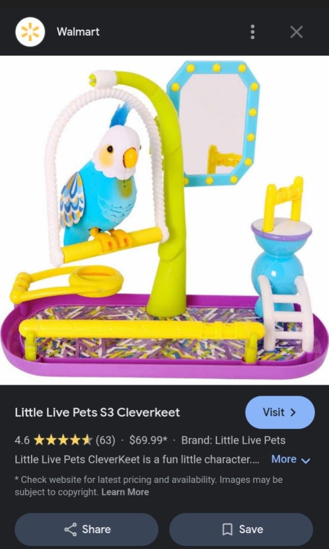 Little live pets cleverkeet best sale