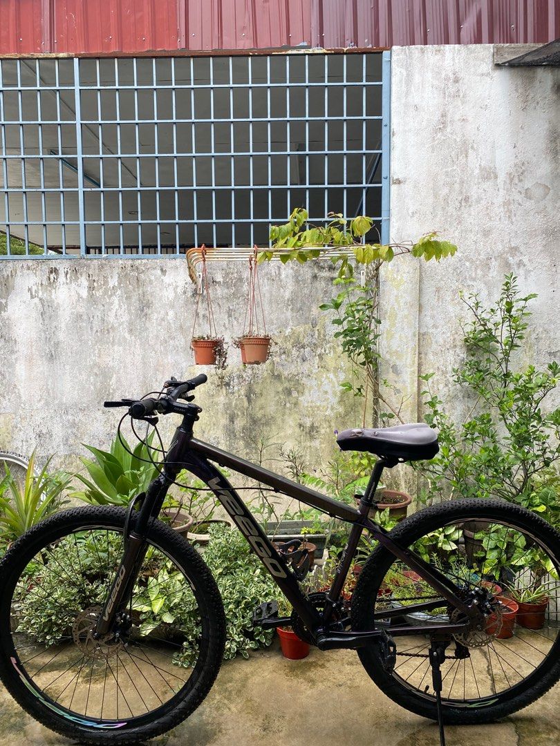 Basikal 29 inch 2025