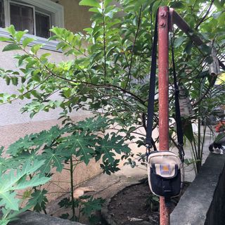 (Category: ) located in . Submitted by manonghits (Listing ID 1322597652, Image 1). Description: .