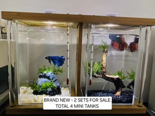 (Category: ) located in . Submitted by annieaqbc (Listing ID 1322596896, Image 1). Description: .