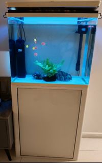 (Category: ) located in . Submitted by champdad7742324 (Listing ID 1322652760, Image 1). Description: .