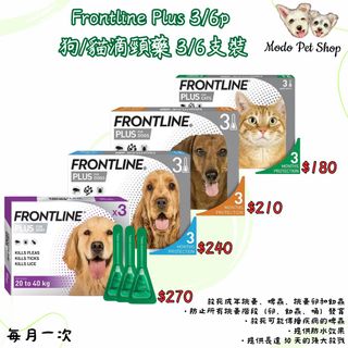 （分類：）位於 。 由 easypet 提交（商品編號 1322581513，圖片 1）。簡介： 。