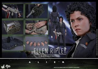 （分類：）位於 。 由 wayne.d 提交（商品編號 1322637477，圖片 1）。簡介： 。