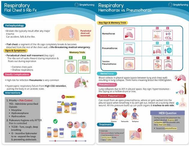 SIMPLE NURSING (Category: Textbooks) located in Taytay. Submitted by ecxds (Listing ID 1322654681, Image 1). Description: GET A COMPLETE COPY OF SIMPLE NURSING FOR AN AFFORDABLE PRICE.