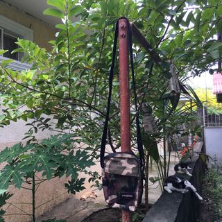 (Category: ) located in . Submitted by manonghits (Listing ID 1322601957, Image 1). Description: .