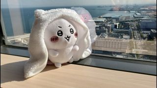 （分類：）位於 。 由 cobbidea 提交（商品編號 1318025402，圖片 1）。簡介： 。