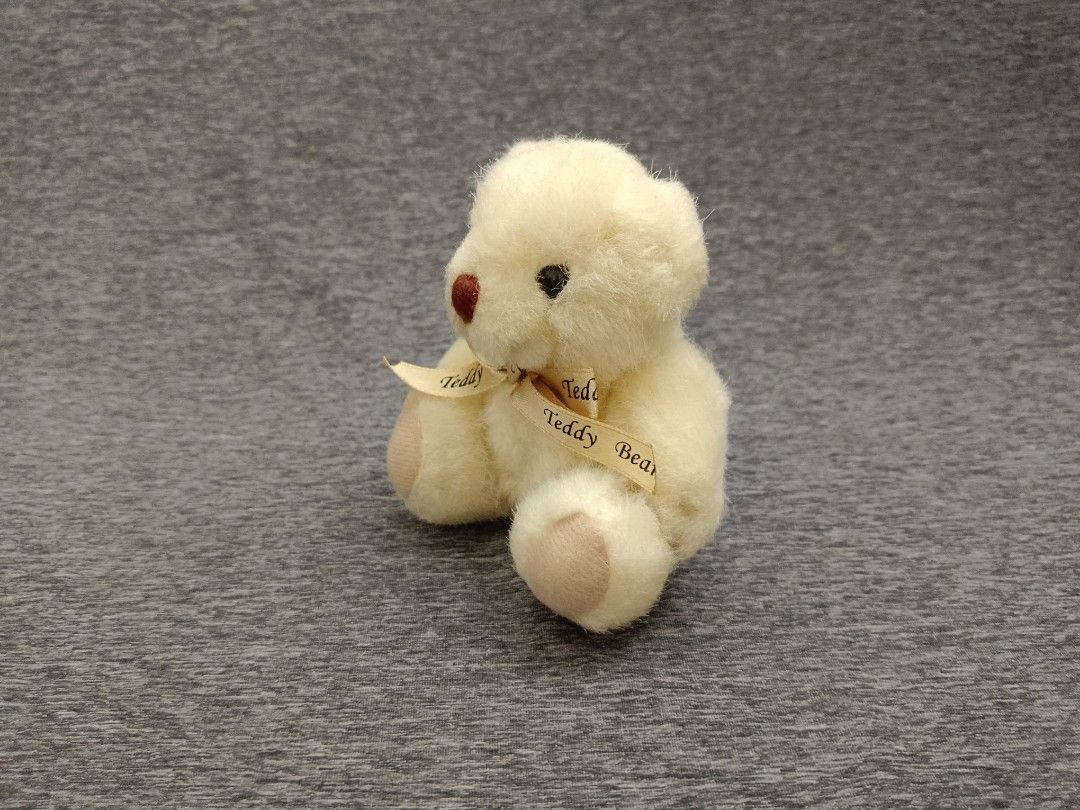 泰迪熊 Teddy Bear 娃娃 玩偶