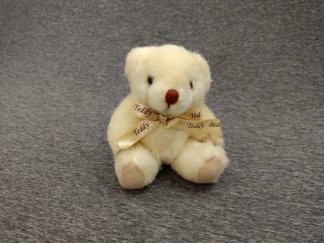泰迪熊 Teddy Bear 娃娃 玩偶