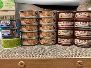 （分類：）位於 。 由 allisonycy 提交（商品編號 1318054098，圖片 1）。簡介： 。