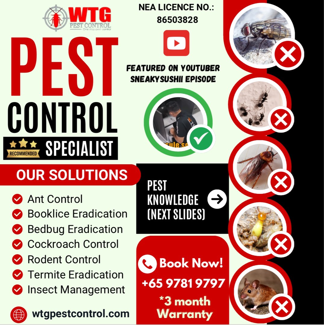 (Category: ) located in . Submitted by wtgpestmoldspecialist (Listing ID 1132649164, Image 1). Description: .