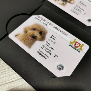 PETS Collection item 2