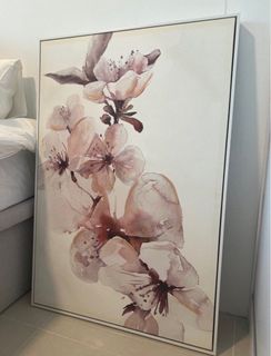 (Category: ) located in . Submitted by clearingcupboards (Listing ID 1318055209, Image 1). Description: .