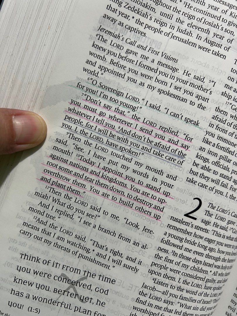 Jesus Bible NLT, Hobbies & Toys, Books & Magazines, Religion