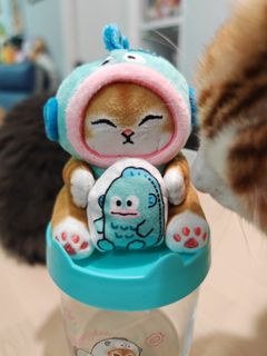 （分類：）位於 。 由 ncncmc 提交（商品編號 1322891545，圖片 1）。簡介： 。
