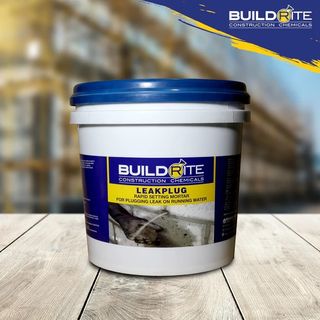 BUILDRITE BLOCKOUT SAPAL 2 in 1 ELASTIC SEALANT AND WATERPROOFER (100g ...