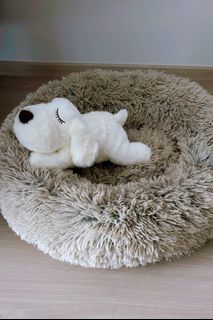 (Category: ) located in . Submitted by rainbow_edreindeers (Listing ID 1322830536, Image 1). Description: .