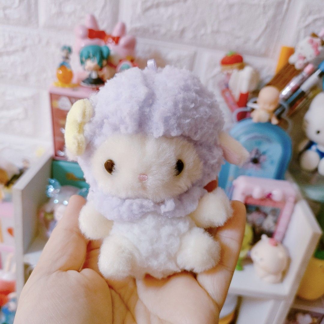 Amuse sheep new arrivals