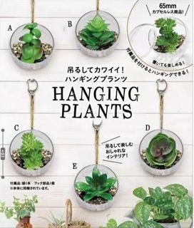 （分類：）位於 。 由 t5rblt 提交（商品編號 1322873731，圖片 1）。簡介： 。