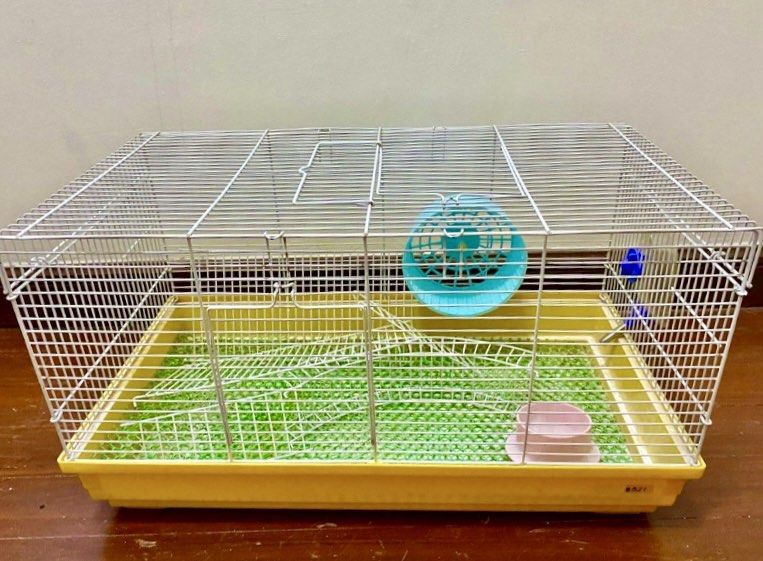 Large Hamster/Guinea Pig Cage (Category: Homes & Other Pet Accessories) located in Quezon City. Submitted by hellodiva (Listing ID 1322807527, Image 2). Description: Large Hamster or Guinea Pig Cage L 23” x W 12.5” x H 12” Including everything you see in photos No Issues or Flaws Only needs to be cleaned 9/10 condition 📌If it’s posted, it’s still available ❌No Bogus Buyers Please!.