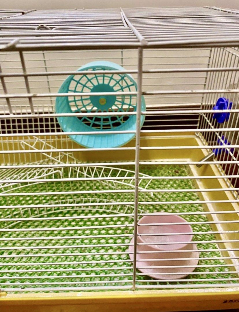 Large Hamster/Guinea Pig Cage (Category: Homes & Other Pet Accessories) located in Quezon City. Submitted by hellodiva (Listing ID 1322807527, Image 1). Description: Large Hamster or Guinea Pig Cage L 23” x W 12.5” x H 12” Including everything you see in photos No Issues or Flaws Only needs to be cleaned 9/10 condition 📌If it’s posted, it’s still available ❌No Bogus Buyers Please!.