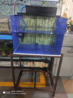 (Category: ) located in . Submitted by fishersmans (Listing ID 1322996600, Image 1). Description: .