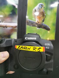 （分類：）位於 。 由 shamwo_114 提交（商品編號 1305064904，圖片 1）。簡介： 。