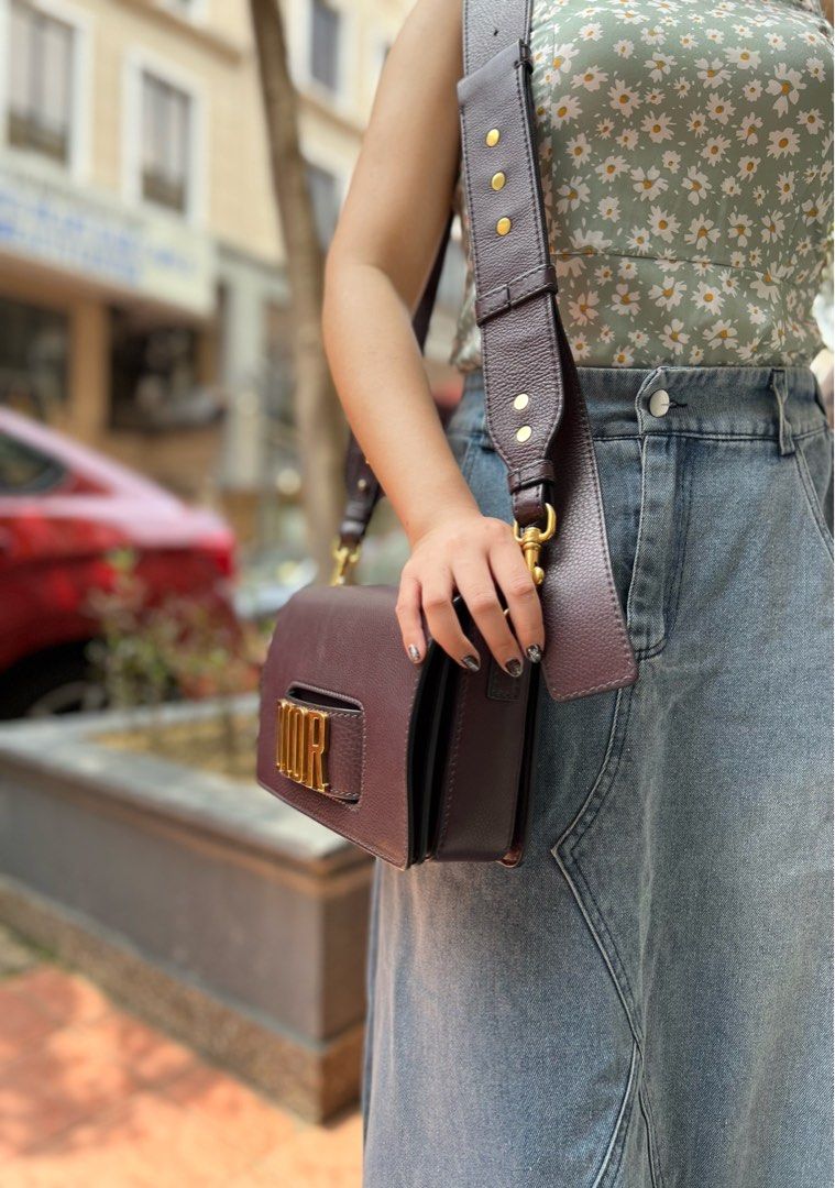 CHRISTIAN DIOR Calfskin Leather Dio R Evolution Flap Bag Luxury Bags Wallets on Carousell