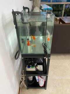 (Category: ) located in . Submitted by owsheng (Listing ID 1323063563, Image 1). Description: .
