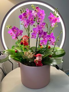 （分類：）位於 。 由 cicelyshum 提交（商品編號 1318122576，圖片 1）。簡介： 。
