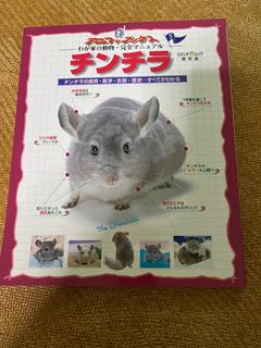 （分類：）位於 。 由 soooofei 提交（商品編號 1318159263，圖片 1）。簡介： 。