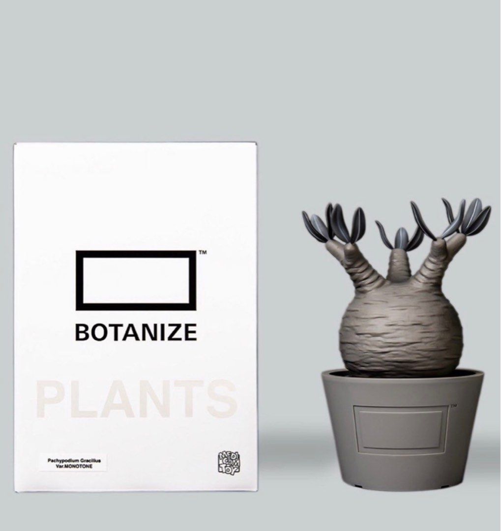 MEDICOM TOY × BOTANIZE VCD Pachypodium