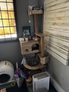 (Category: ) located in . Submitted by johnnnsss (Listing ID 1318111127, Image 1). Description: .