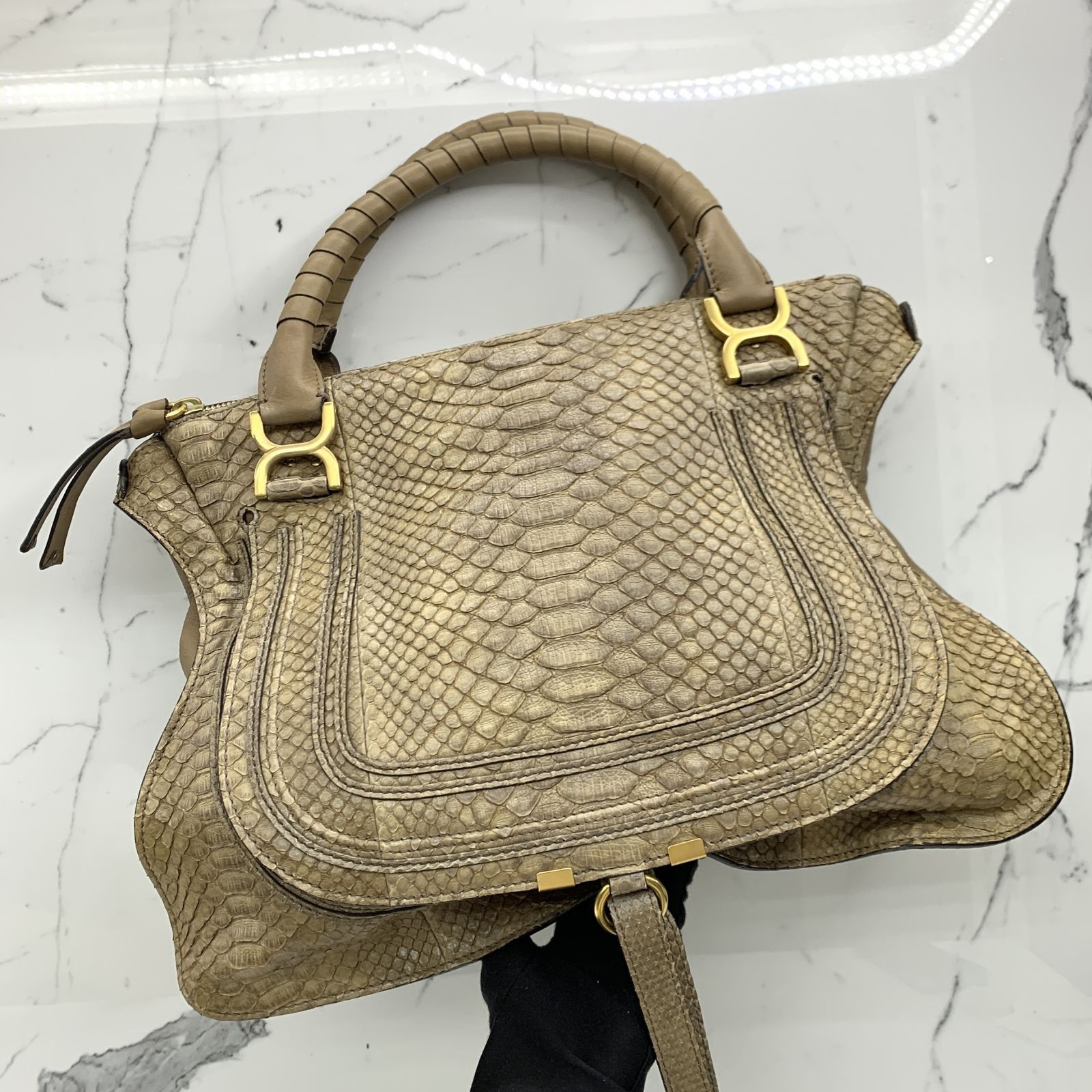 Chloe marcie python on sale