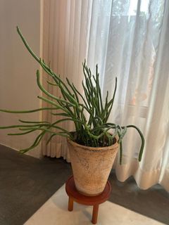 (Category: ) located in . Submitted by yc.391082 (Listing ID 1318158588, Image 1). Description: .