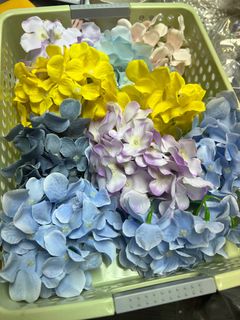 （分類：）位於 。 由 abloomingflower 提交（商品編號 1318354425，圖片 1）。簡介： 。