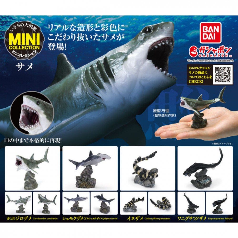 Bandai Gashapon Bamboo Shark (Category: Designer & Blind Box Toys) located in Singapore. Submitted by gmansc (Listing ID 1318329214, Image 2). Description: Bandai Gashapon Mini Collection Bamboo Shark Brand new still sealed in capsule.