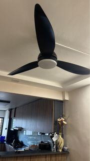 (Category: ) located in . Submitted by kaishaa (Listing ID 1318359643, Image 1). Description: .