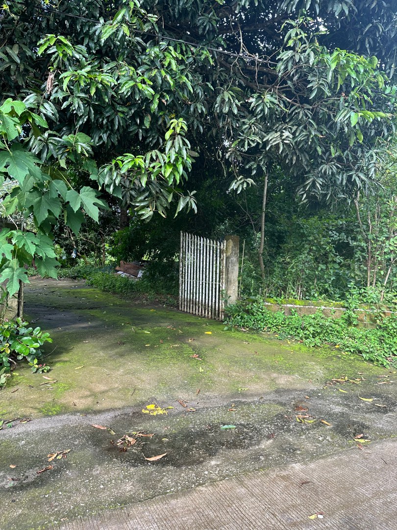 Indang Cavite, Property, For Sale, Lot on Carousell