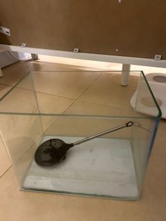 （分類：）位於 。 由 funshop5 提交（商品編號 1318383299，圖片 1）。簡介： 。