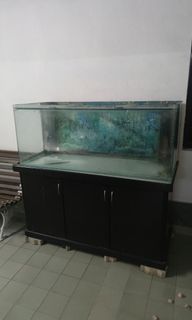 (Category: ) located in . Submitted by ajidkb (Listing ID 1318617333, Image 1). Description: .