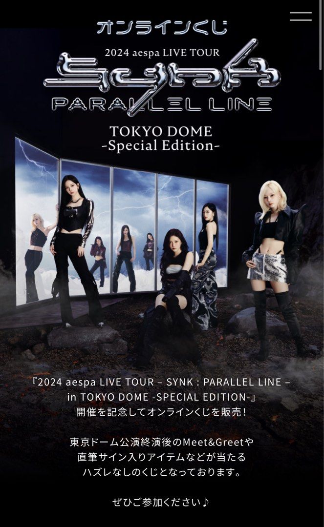 aespa synk ツアー 東京ドーム ウィンター ニンニン うちわ バッグ みにくく