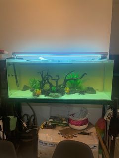 (Category: ) located in . Submitted by abcdefghazze (Listing ID 1318573088, Image 1). Description: .