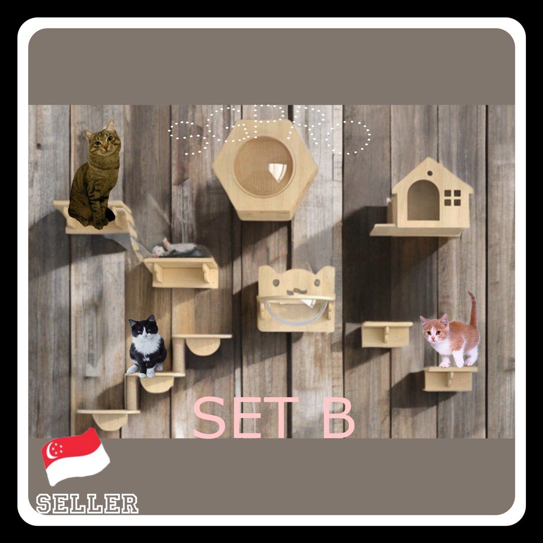 Deben Racks Cat Cats wall racks / wall mount cat condo, Pet Supplies, Homes & Other Pet ...