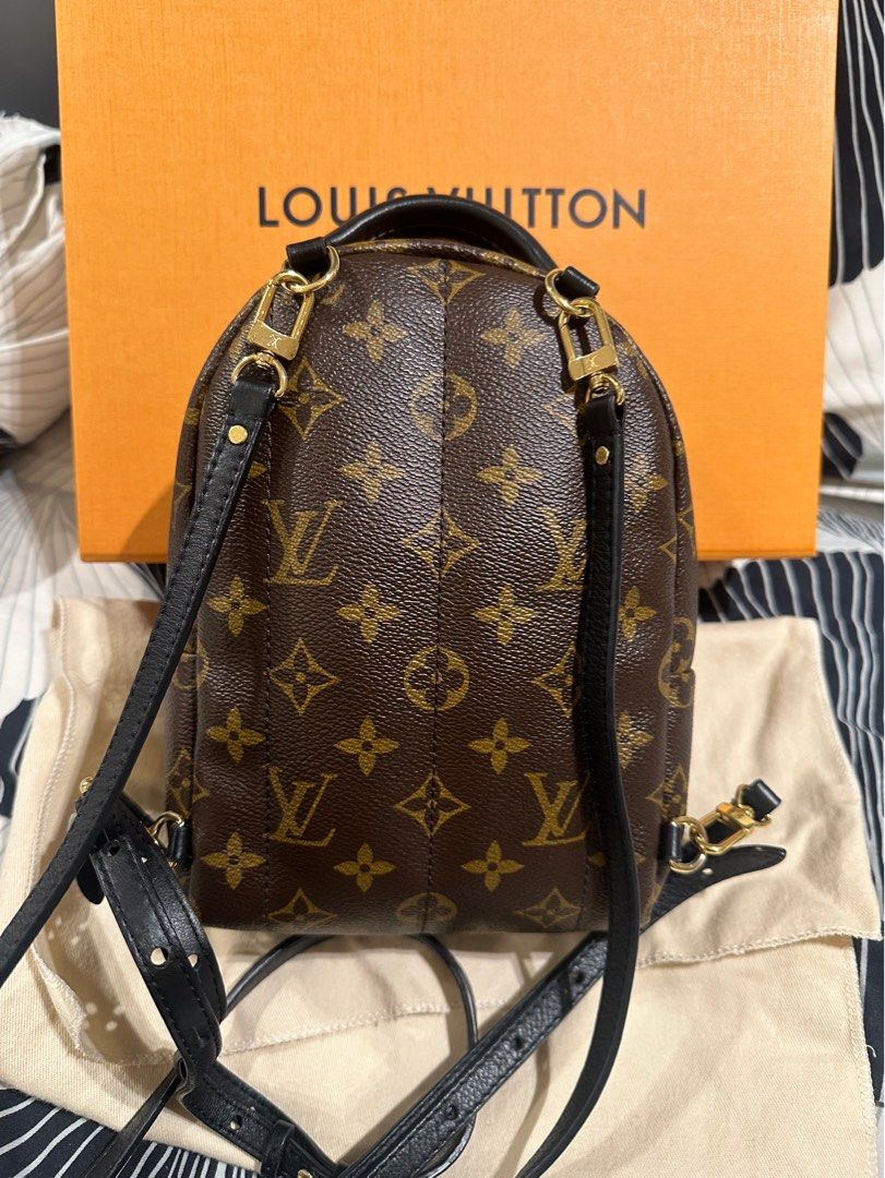 Louis Vuitton LV backpack Carousell