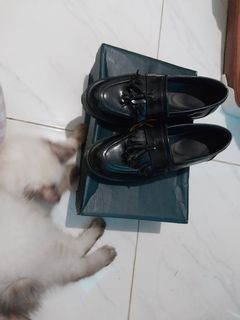 (Kategori: ) berada di . Dikirim oleh prelovedconny (ID iklan 1318472823, Gambar 1). Deskripsi: .