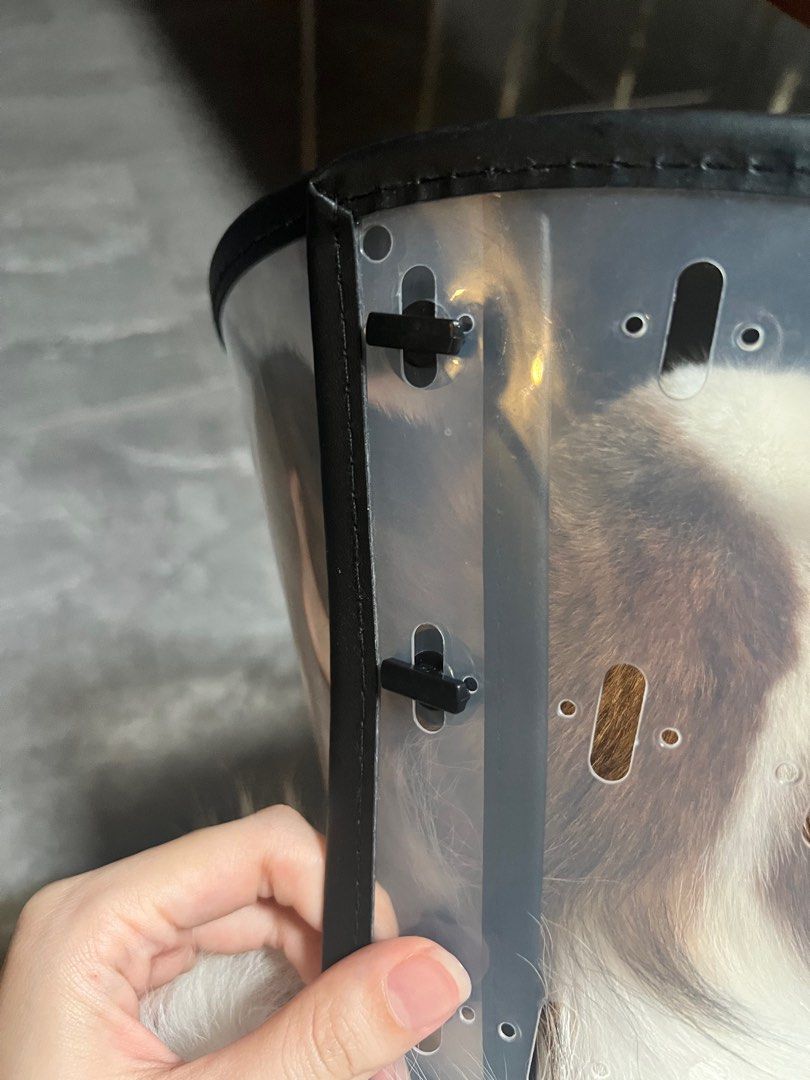 Pet E-Collar (Category: Homes & Other Pet Accessories) located in Singapore. Submitted by kristopheryong (Listing ID 1318600968, Image 4). Description: Brand new. Only try once on my dog but he is scared of it so decided to sell away. My dog is 13kg, can fit from 5-18kg. Prevent from licking Quite pricey when I bought it, letting go at $20 as it’s in perfect condition .