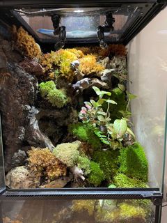 (Category: ) located in . Submitted by vincentthan (Listing ID 1318568154, Image 1). Description: .