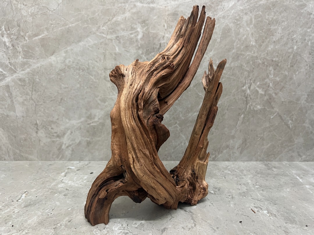 魚缸@沉木, 寵物用品, 寵物家品及其他 - Carousell