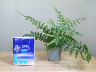 （分類：）位於 。 由 byg2020 提交（商品編號 1318704978，圖片 1）。簡介： 。